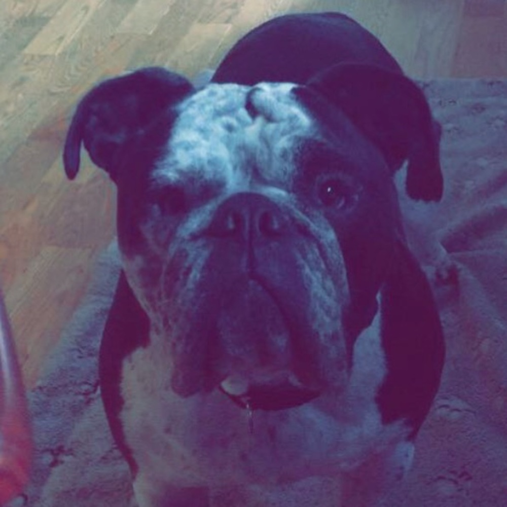 Meet your Posher, Summer